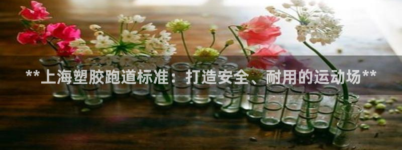 谈球吧黑款：**上海塑胶跑道标准：打造安全、耐用的运