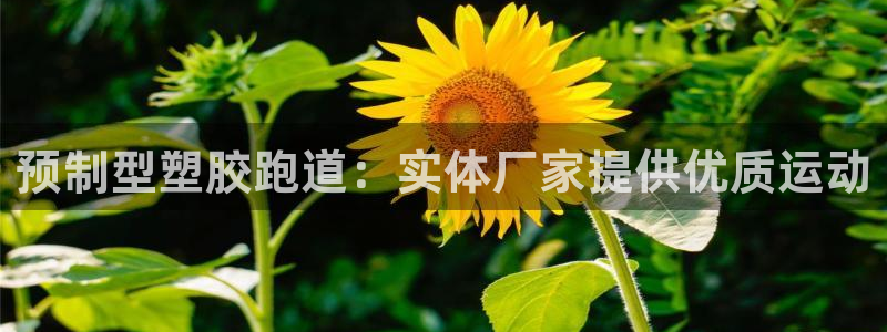 谈球吧属于哪个旗下：预制型塑胶跑道：实体厂家提供优质