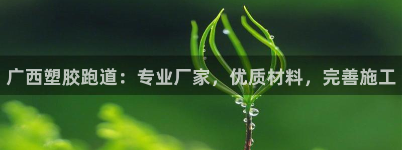 谈球吧官网在线入口免费观看视频：广西塑胶跑道：专业厂