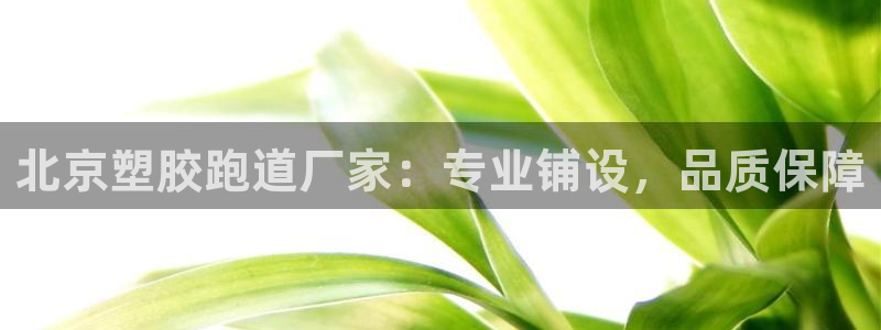 谈球吧官网在线入口免费观看视频：北京塑胶跑道厂家：专业铺设，品质保障