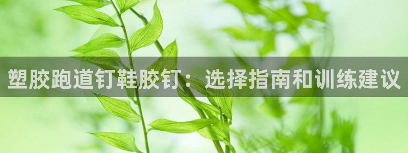 谈球吧网页版在线入口