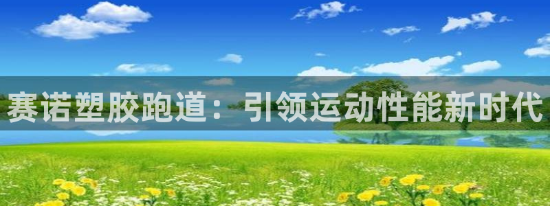 谈球吧官网在线入口手机版免费下载：赛诺塑胶跑道：引领