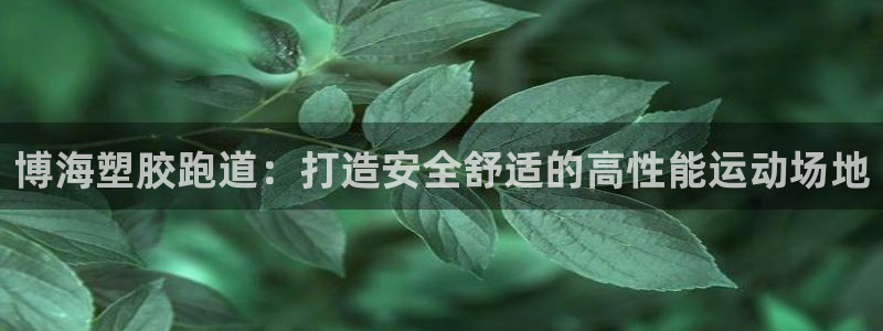 谈球吧平台正规吗可信吗知乎：博海塑胶跑道：打造安全舒适的高性能运动场地