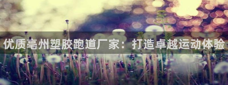 谈球吧体育首页综合登陆：优质亳州塑胶跑道厂家：打造卓越运动体验