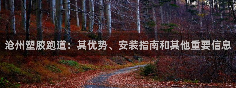 谈球吧体育app下载官网手机版安装：沧州塑胶跑道：其优势、安装指南和其他重要信息